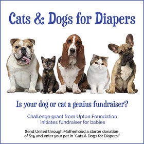 Cats & Dogs for Diapers