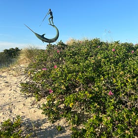 📆 Itinerary: One Perfect Day Up-Island in Chilmark, Aquinnah & West Tisbury (2025) 