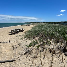 🎒 Teen-Friendly Things to Do on Martha's Vineyard in 2025