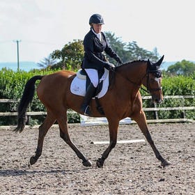 Sun shines for N.I. Riding Clubs Dressage Championships