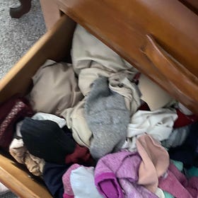Reason 90: The Bureau of Lost Socks