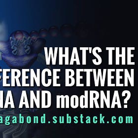 What is the Difference Between mRNA and modRNA? 