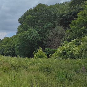 A Wild Spring Walk in LettsSafari's Dawlish Park