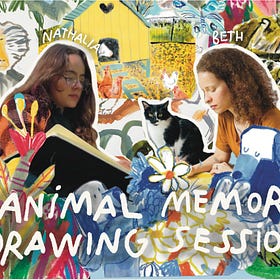 Animal Memory Drawing Session Replay
