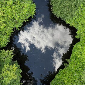 The Importance of Water