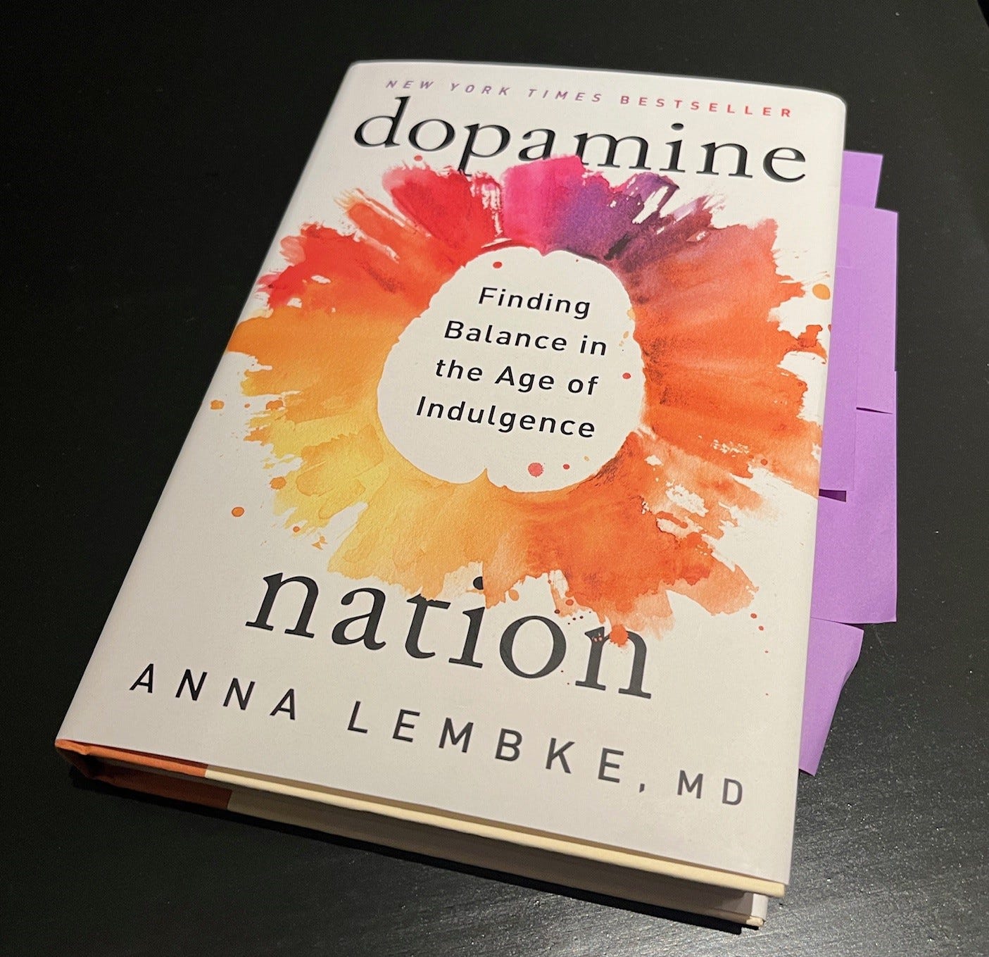Photo of the book Dopamine Nation