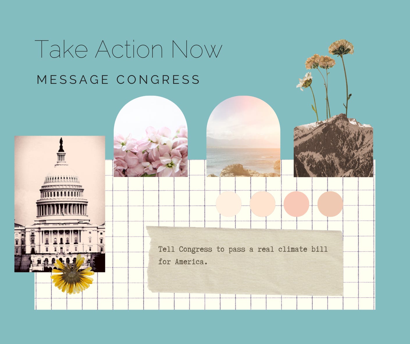 Take action now. Message congress. Tell congress to pass a real climate bill for America. 