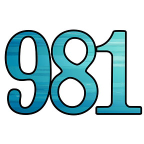 The 981 Project