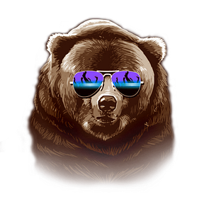 Bear's Bulletins 📨