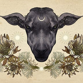 The Black Sheep