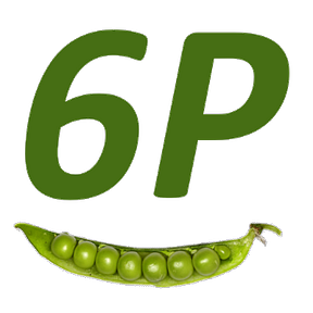 6 'P's in AI Pods (AI6P)