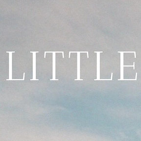 The Little Things Life