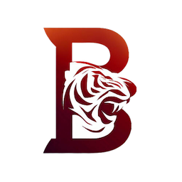 Budget Tiger