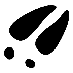 Traces Journal
