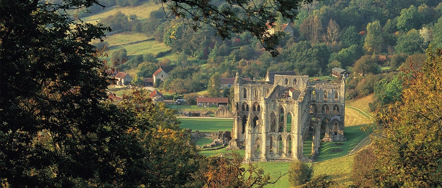 History of Rievaulx Abbey | English Heritage