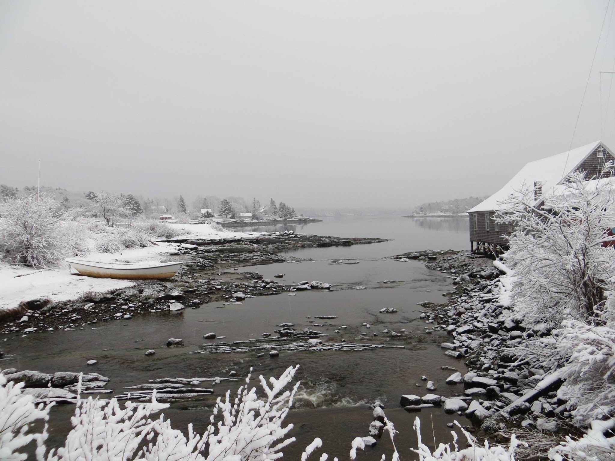May be an image of arctic May be an image of arctic