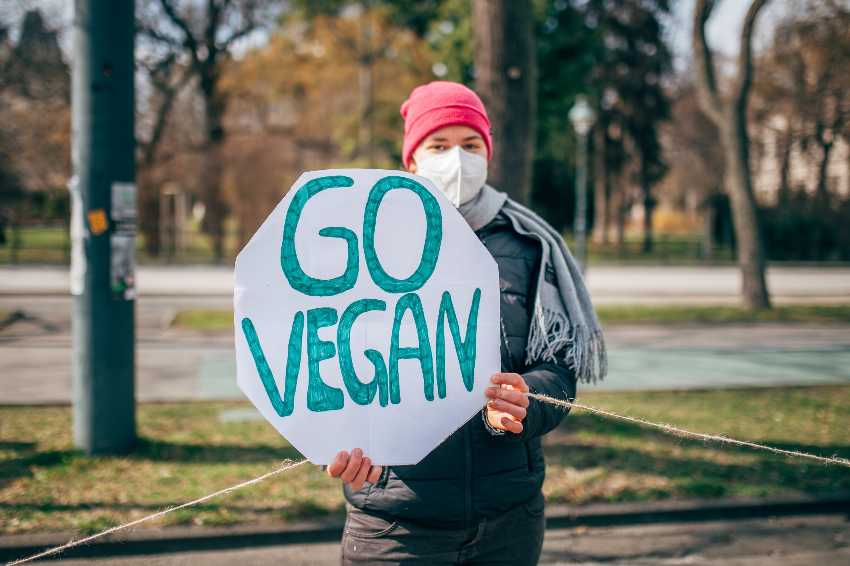 File:Demonstrator with a sign that reads "Go Vegan" at a protest against  climate change (51059102481).jpg - Wikipedia