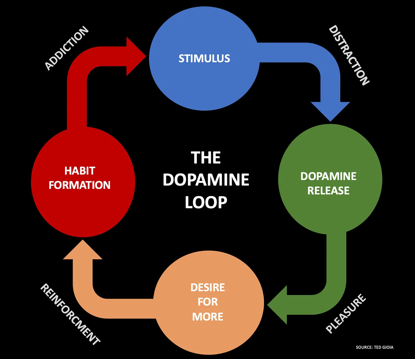 Flow chart of the dopamine loop