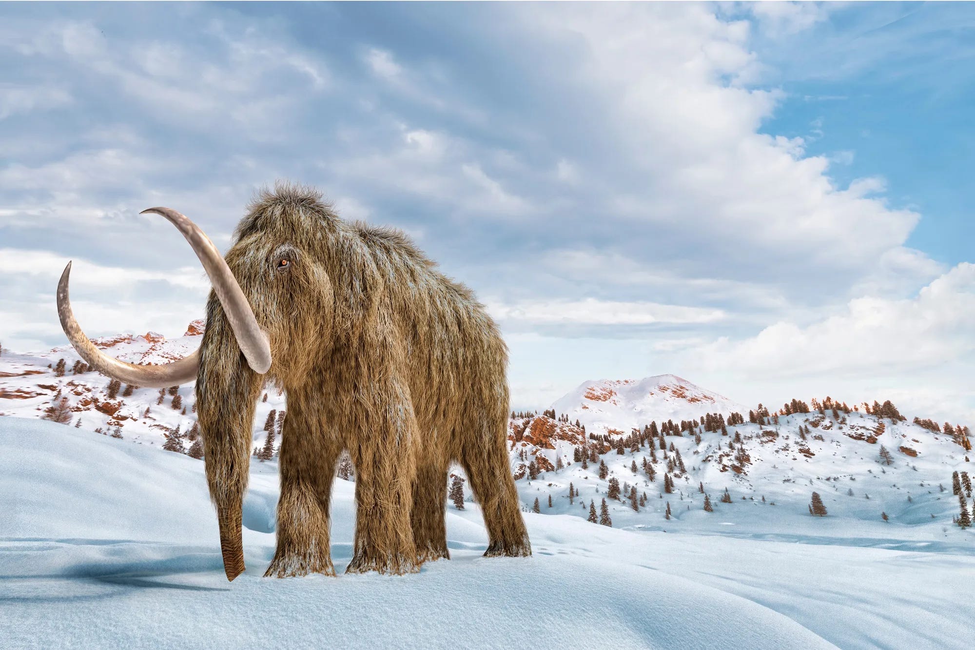 A rendering of a woolly mammoth.