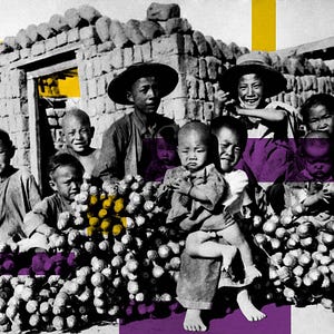 The Trump White House and the New Opium Wars