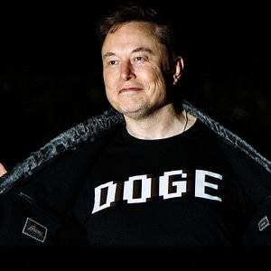 Why DOGE Failed
