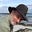 Peter Falkenberg Brown's avatar
