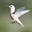 Hummingbird07's avatar
