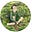 Katie Green's avatar