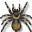 The Spider's avatar