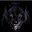BlackDog's avatar