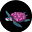 Bow Tied Sea Turtle's avatar