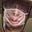 Bombo's avatar