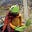 Shoshi's avatar