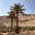 Datepalm Discourses's avatar