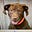 Rosco-Remington's avatar