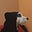 vauxvon's avatar
