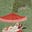 Litrahb Perfumery's avatar