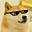 Adria Compte's avatar
