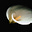 Merighen's avatar