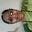 Mrs. MADHURI Joshi's avatar