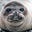 celestial_alexson's avatar