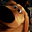 Henry the Dog's avatar