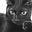 Mister Meow's avatar