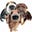 Threedogs's avatar