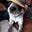 Blue heeler mama's avatar