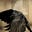 Raven White Dove's avatar