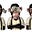 Scouthatesvaccines's avatar