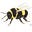 Sharon Beebe's avatar