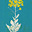 Bonita Bonita Bonita's avatar