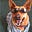 Bocephus's avatar